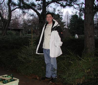 Nico-Lausi mit Weihnachtsbaum